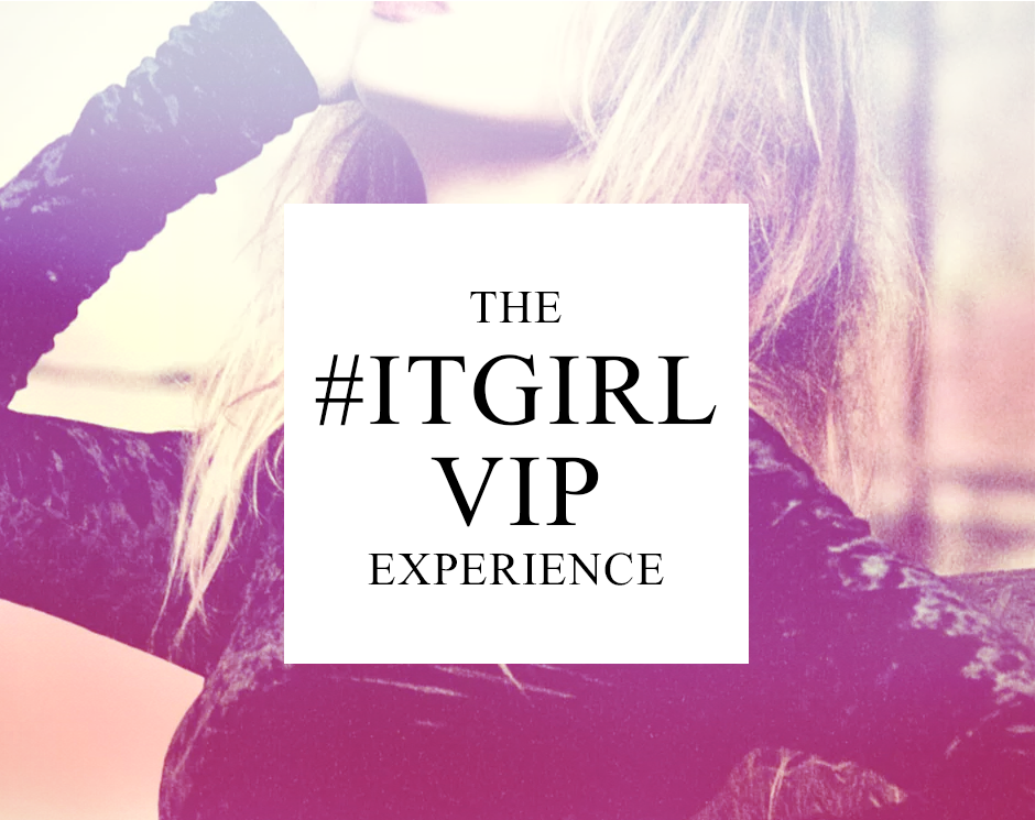 theitgirlexperience3image